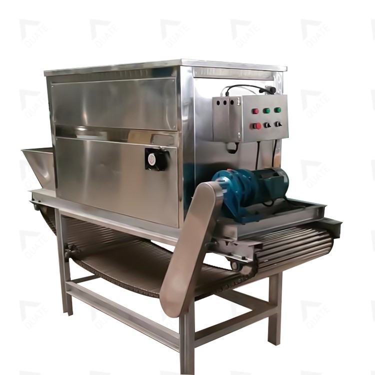 Automatic Garlic Peeler Machine