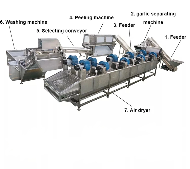 Automatic Garlic Peeler Machine
